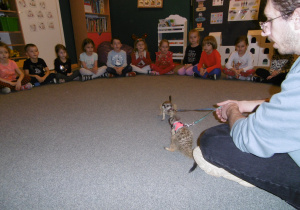 Przedszkolaki siedzą w kole ,obserwują zwierzęta, które sa na smyczkach.