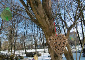 Zawieszka dla ptaków zawieszona na drzewie w kształcie serca.