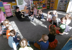 Dzieci czteroletnie siedzą na dywanie w sali. Oglądają skunksa , którego trzyma opiekunka.