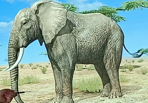 Postać słonia na tablicy multimedialnej