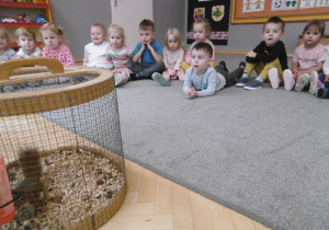 Dzieci z grupy pierwszej siedzą w półkolu, patrza na klatkę w której jest wiewiórka.