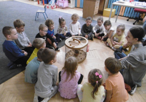 Dzieci z grupy drugiej i prowadząca zajęcia siedzą w kole. W środku koła stoi klatka z wiewiórką.