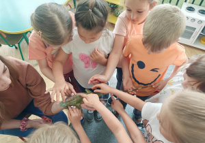 Grupa starszaków z legwanem.