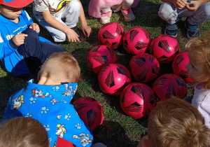 Drużyna przedszkolaków siedzi na polance w kole. W środku koła ułożone pilki różowe