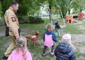 Przedszkolaki prowadzą na smyczy psa ratownika w asyście opiekuna.