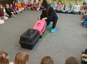 Króliczka i szynszyle